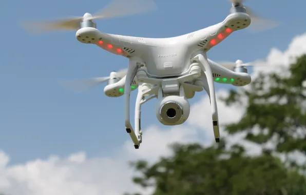 Phantom, sky, cloud, vegetation, drone, kumo, quadcopter, DJI Phantom Vision Plus V3