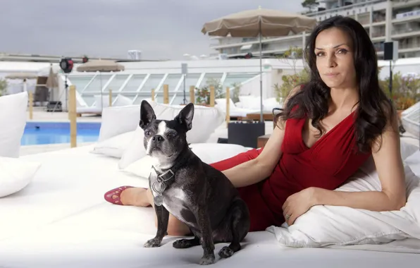 Женщина, собака, платье, бульдог, Famke Janssen, Фамке Янссен