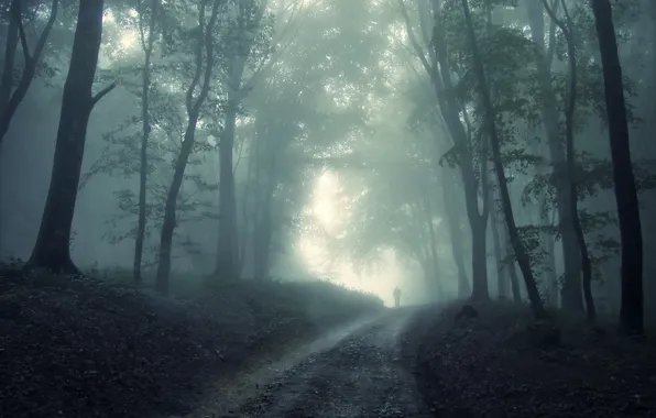 Картинка туман, страх, мрак, человек, Лес, призрак, непредвиденность