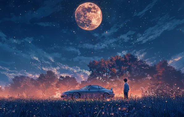 Облака, цветы, луна, человек, луг, автомобиль, Midnight Drift, ночная поездка