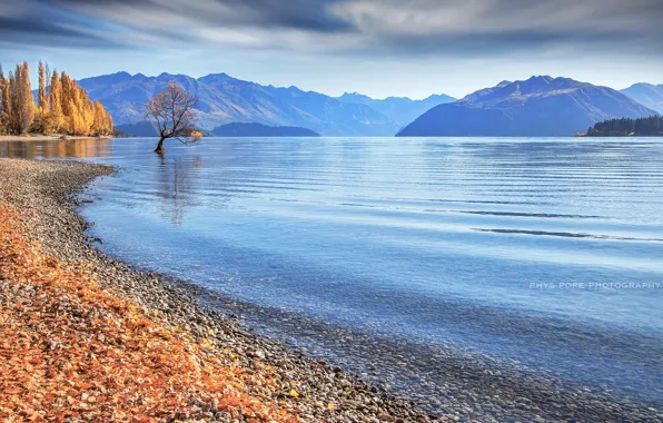 Картинка осень, озеро, берег