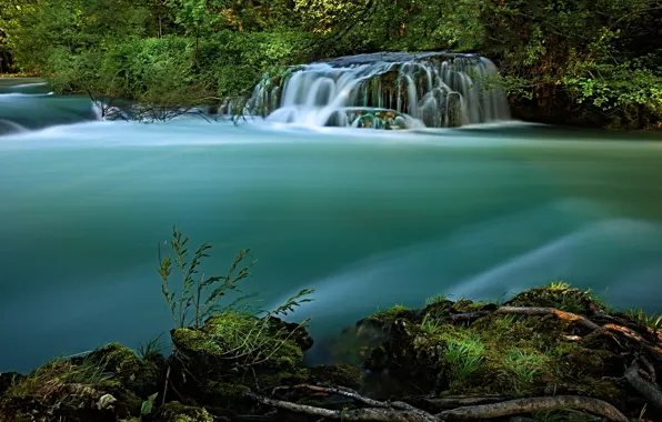 Лето, трава, вода, ветки, природа, река, берег, растительность