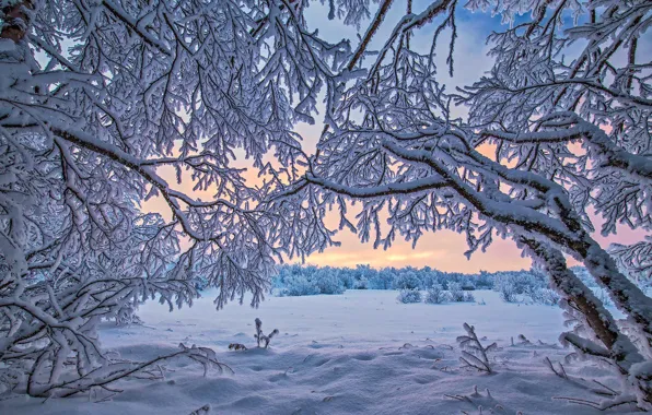 Картинка зима, снег, Финляндия