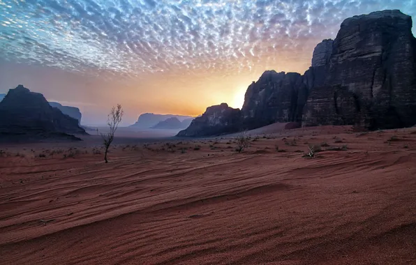 Jordan, Amazing sky, Wadi Rum desert