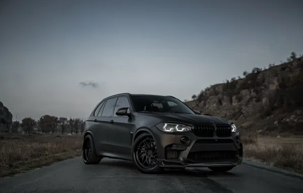 Вид спереди, 2018, BMW X5, кроссовер, X5M, Z Performance
