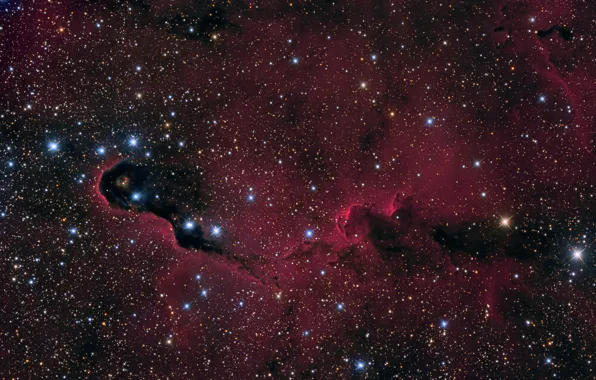 Картинка космос, туманность, nebula, Elephant's Trunk