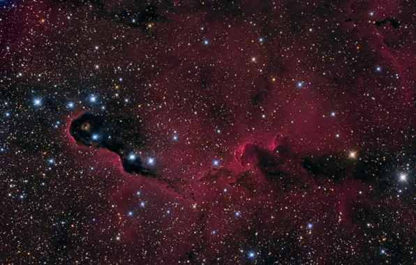 Космос, туманность, nebula, Elephant's Trunk