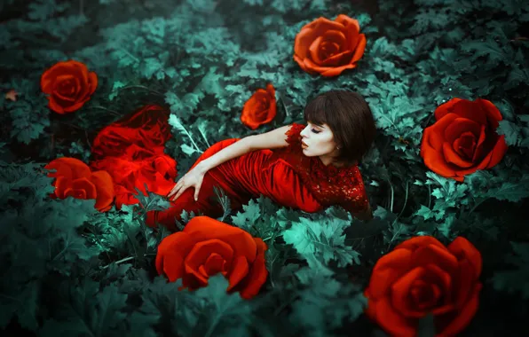 Картинка девушка, цветы, настроение, розы, красное платье, Maria Eugenia