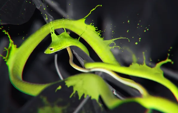 Green, wallpaper, snake, wood, splash, water effect