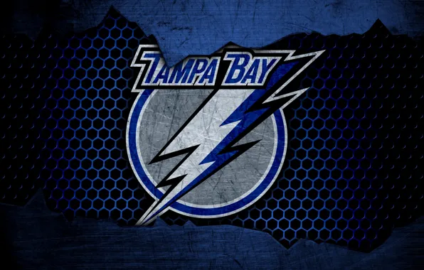 Tampa Bay Lightning iPhone Wallpaper  Tampa bay lightning logo, Tampa bay  lightning, Tampa bay lightning hockey