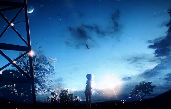 Картинка небо, девушка, ночь, город, дерево, птица, луна, Y_Y
