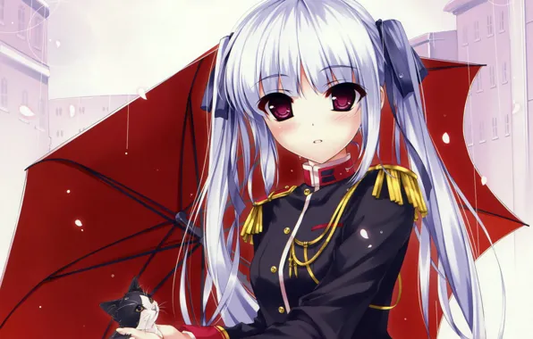 Взгляд, девушка, город, дождь, зонт, котёнок, рыцарь, anime