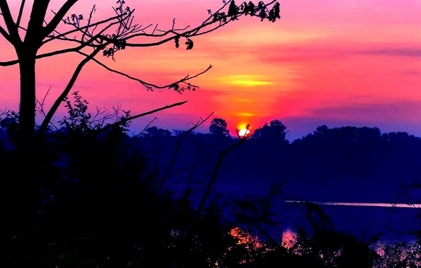 Sun, Water, Sunrise, Dawn, Morning, Lake, Trees, Reflection