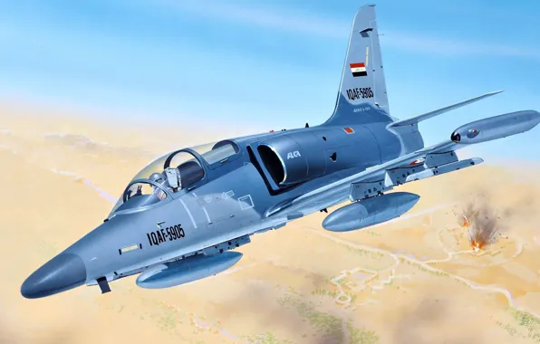 Учебно-боевой самолёт, лёгкий многоцелевой штурмовик, ВВС Ирака, Aero L-159 ALCA