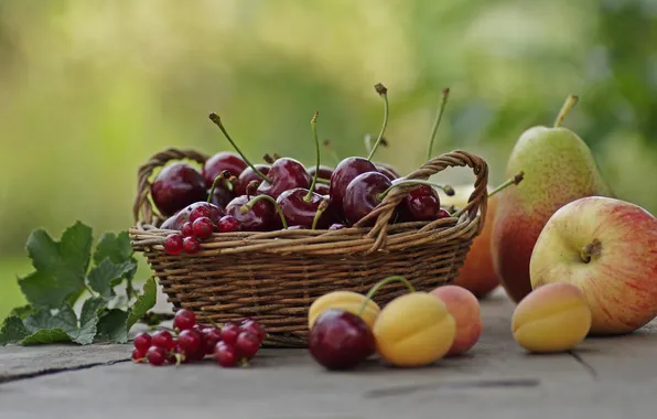 Картинка лето, вишня, корзина, яблоко, фрукты, смородина, груша. абрикосы