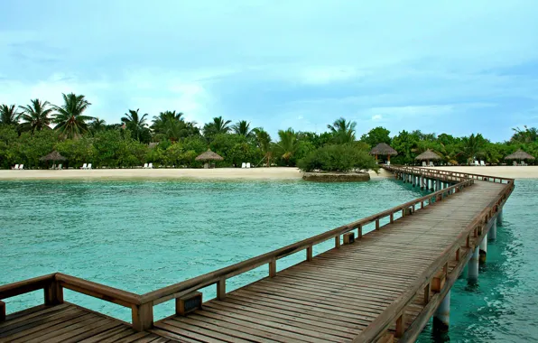 Beach, island, maldives, vacation