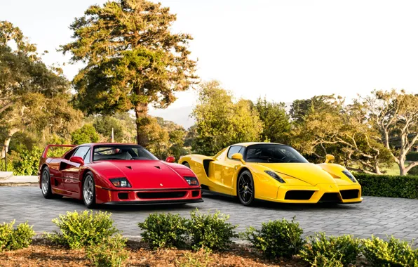 Red, F40, Enzo, Yellow