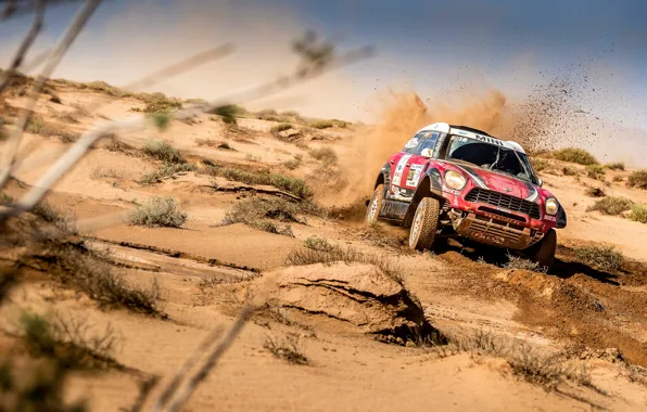Mini, Пустыня, Скорость, Гонка, 307, Rally, Внедорожник, Ралли
