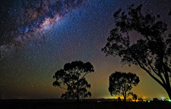 Картинка космос, звезды, деревья, ночь, пространство, млечный путь