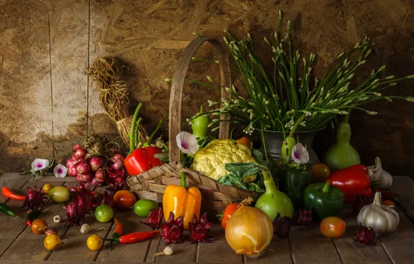 Урожай, натюрморт, овощи, autumn, still life, vegetables, harvest