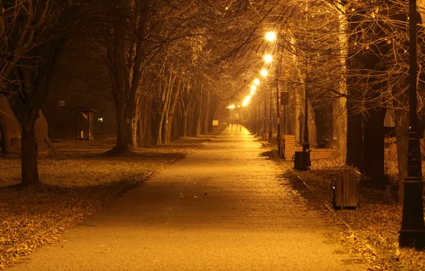 Осень, деревья, lights, фары, trees, autumn, street, lanterns