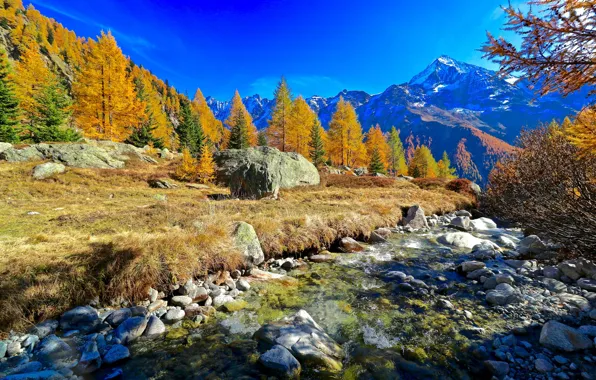 Картинка осень, лес, горы, камни, речка