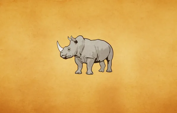 Носорог, светлый фон, rhino, rhinoceros