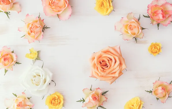 Wood, flowers, roses