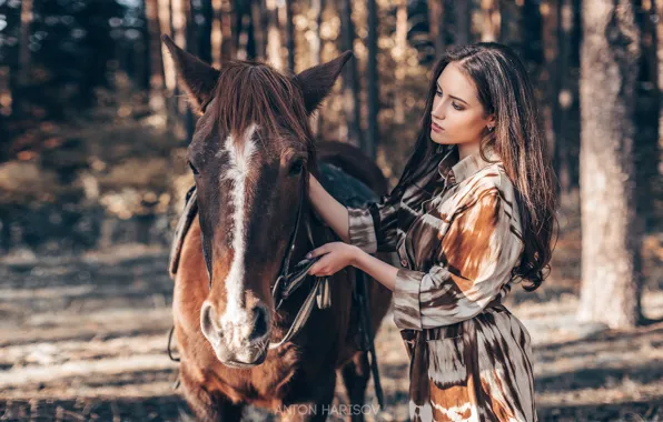 Картинка девушка, конь, лошадь, Антон Харисов, Мария Башмакова