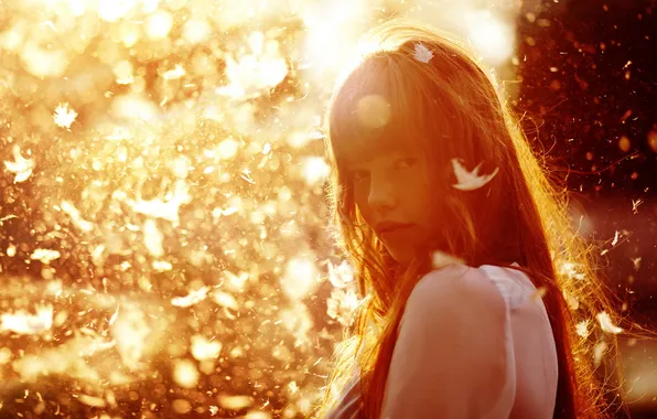 Взгляд, девушка, свет