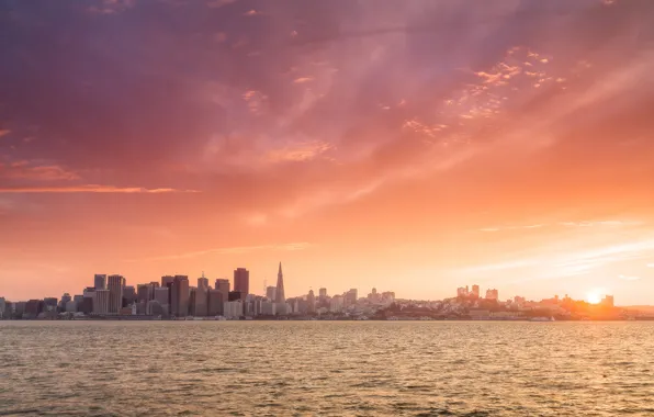 Город, небоскребы, утро, San Francisco, панорамма