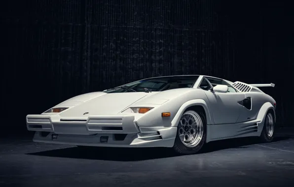 Картинка car, photography, Lamborghini Countach, white cars, Countach 25th Anniversary