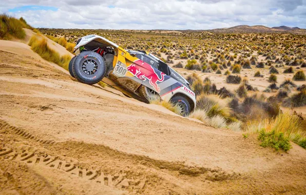 Песок, Спорт, Скорость, Тучи, Гонка, Peugeot, Фары, Red Bull