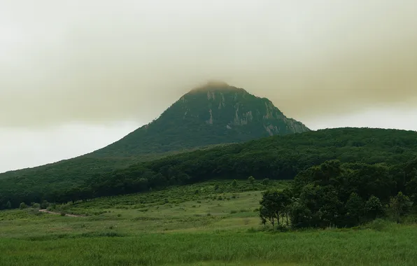 Пейзаж, гора, полесье