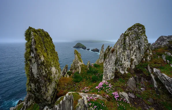 Картинка море, скалы, берег, Ireland, Munster, Dunquin