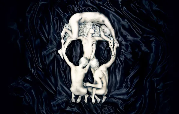 Минимализм, Дизайн, Череп, Черный фон, Креатив, Skull, Creative, Sex