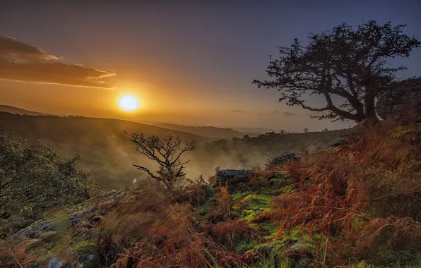 Пейзаж, закат, горы, туман