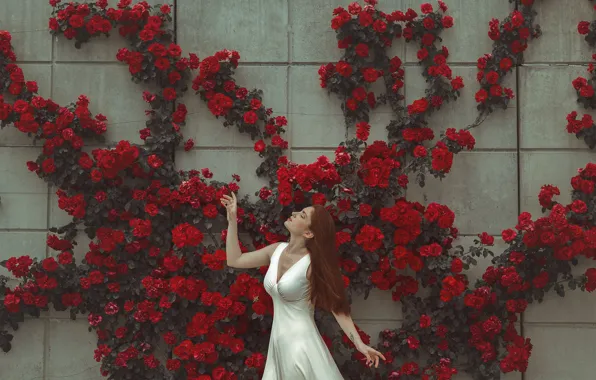 Картинка девушка, цветы, лицо, поза, стена, платье