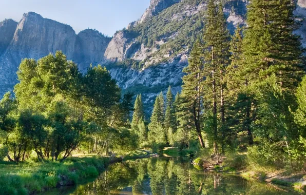 Картинка лес, горы, природа, река