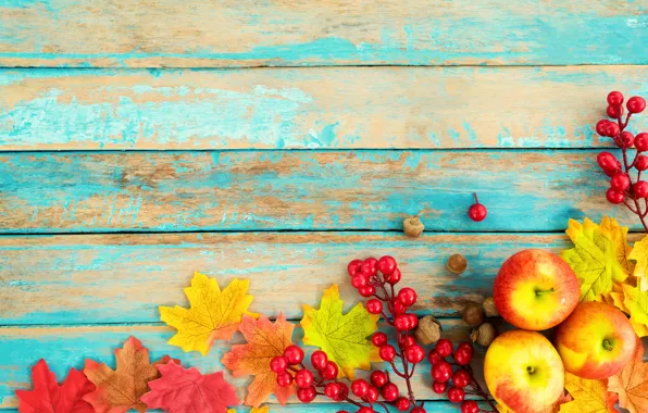 Картинка осень, листья, ягоды, фон, дерево, яблоки, colorful, орехи