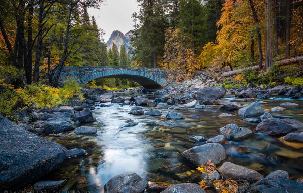 Картинка осень, лес, деревья, река, камни, Калифорния, California, Национальный парк Йосемити