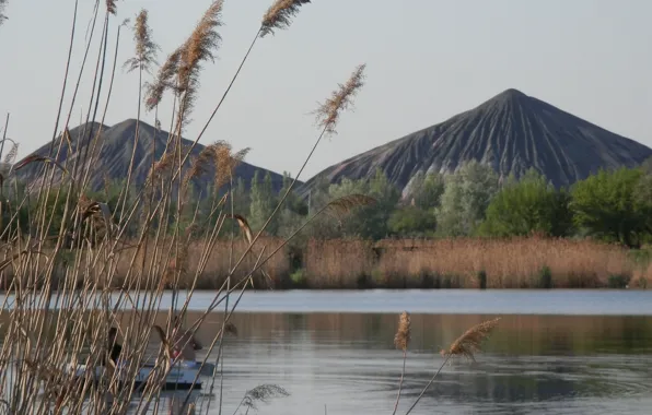 Картинка вода, природа, терриконы