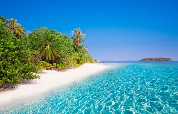 Картинка beach, coast, blue, beautiful, clouds, clear, coconut, bay