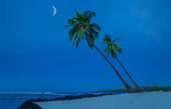 Картинка песок, пляж, небо, пальмы, океан, побережье, Гавайи, Тихий океан