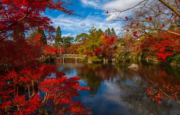 Картинка осень, деревья, пейзаж, город, пруд, парк, Япония, мостик