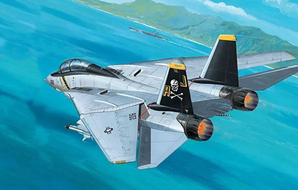 Картинка реактивный, истребитель-бомбардировщик, Tomcat, F-14, четвёртого поколения, двухместный, перехватчик, Grumman Aircraft Engineering Corporation