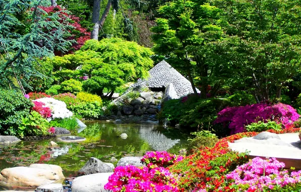 Деревья, цветы, пруд, камни, Франция, сад, кусты, Albert-Kahn Japanese gardens