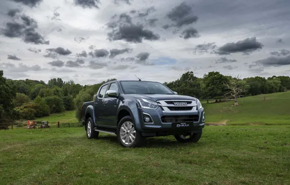 Поле, трава, пикап, 2018, Isuzu, Yukon, 2017, D-Max