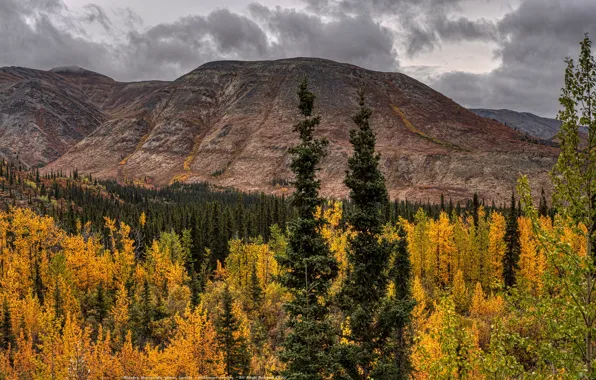 Картинка осень, лес, облака, деревья, горы, Канада, панорама, Банф