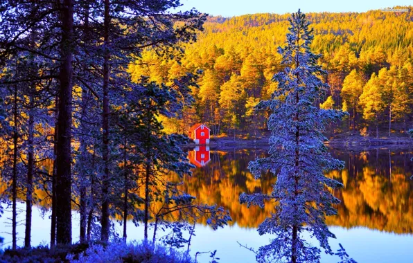 Картинка осень, лес, небо, деревья, озеро, дома